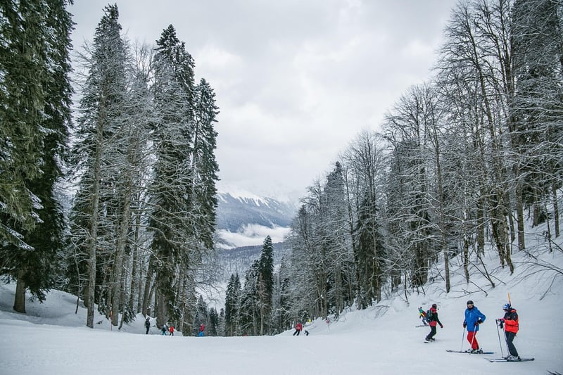 Ski Resort